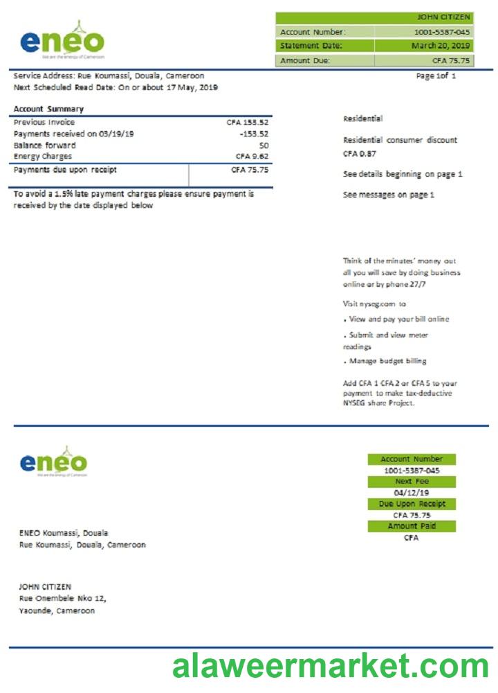 Cameroon ENEO electricity utility bill
